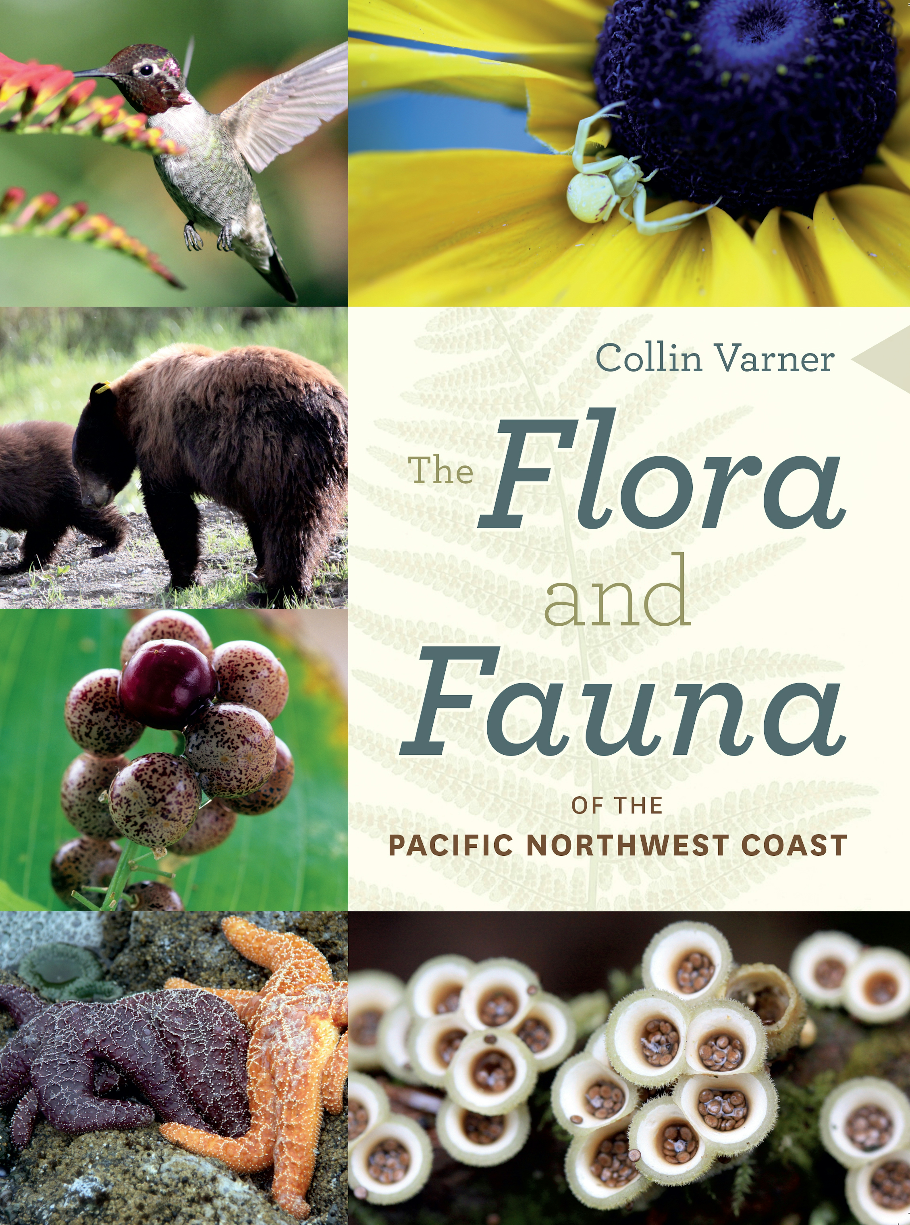 The Flora and Fauna of the Pacific Northwest Coast