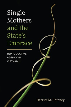 Single Mothers and the State’s Embrace book image