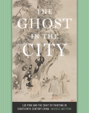 The Ghost in the City book image
