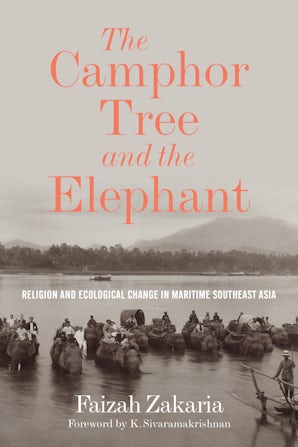 The Camphor Tree and the Elephant book image