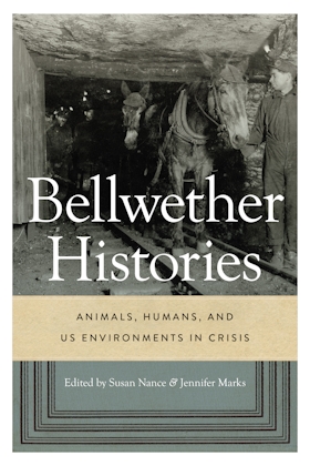 Bellwether Histories