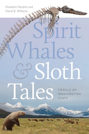 Spirit Whales and Sloth Tales book image