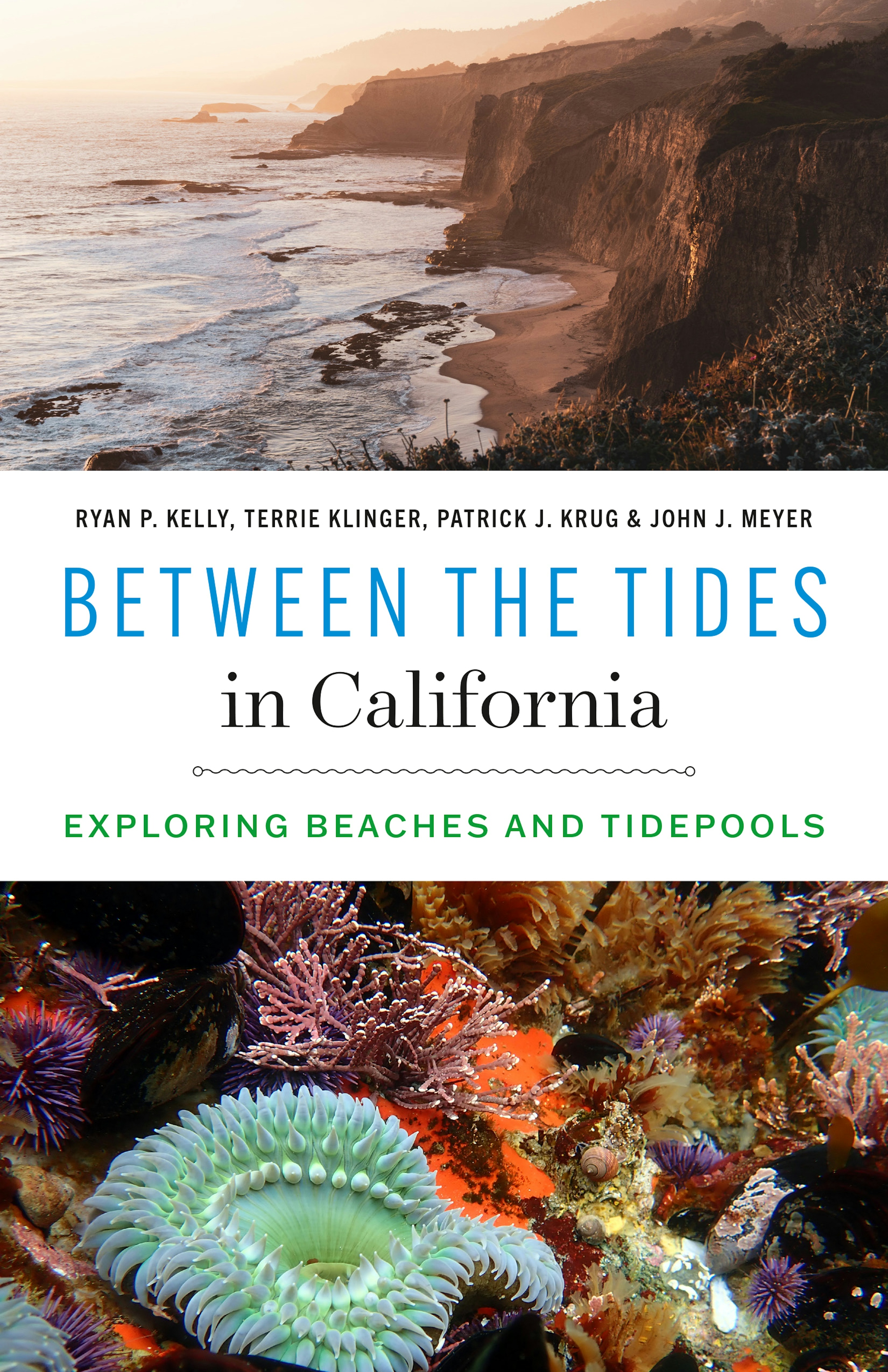 Between the Tides in California