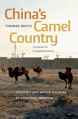 China's Camel Country book image
