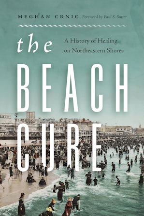 The Beach Cure book image