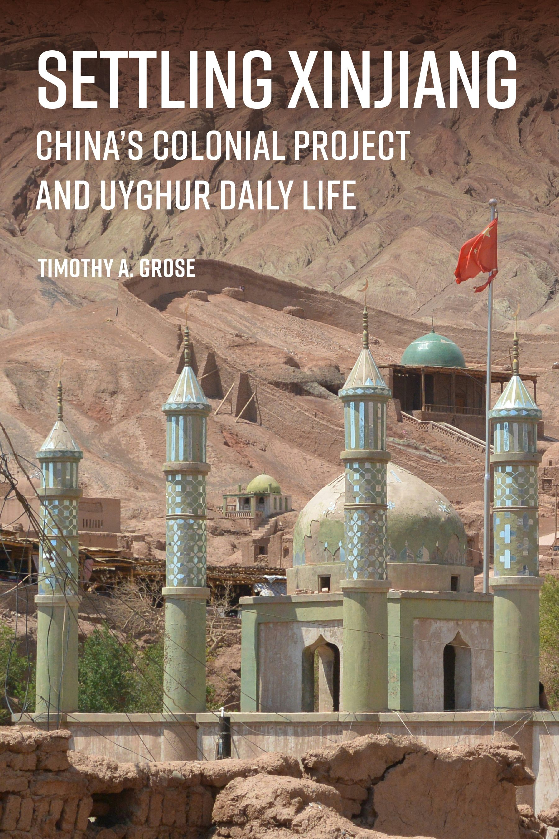 Settling Xinjiang China's Colonial Project and Uyghur Daily Life