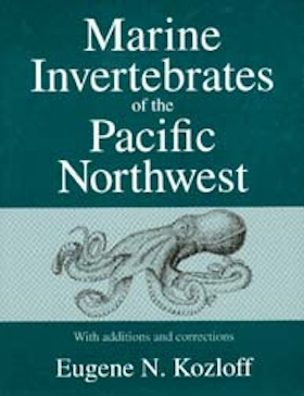 Marine Invertebrates of the Pacific Northwest