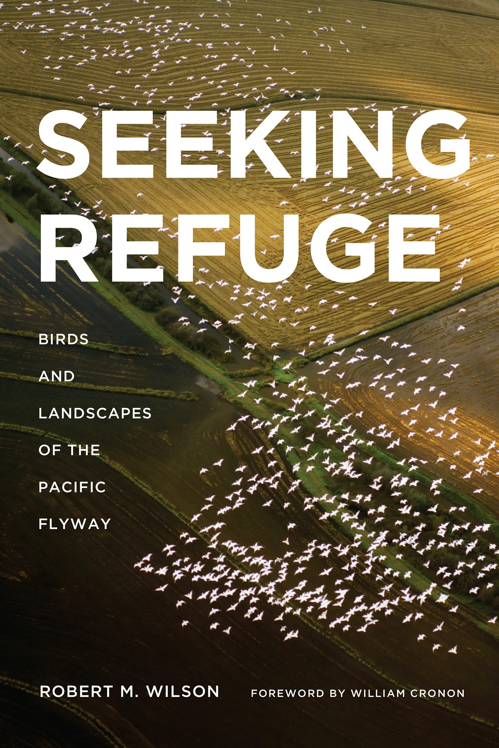 Seeking Refuge by Irene N. Watts