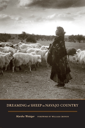 Dreaming of Sheep in Navajo Country