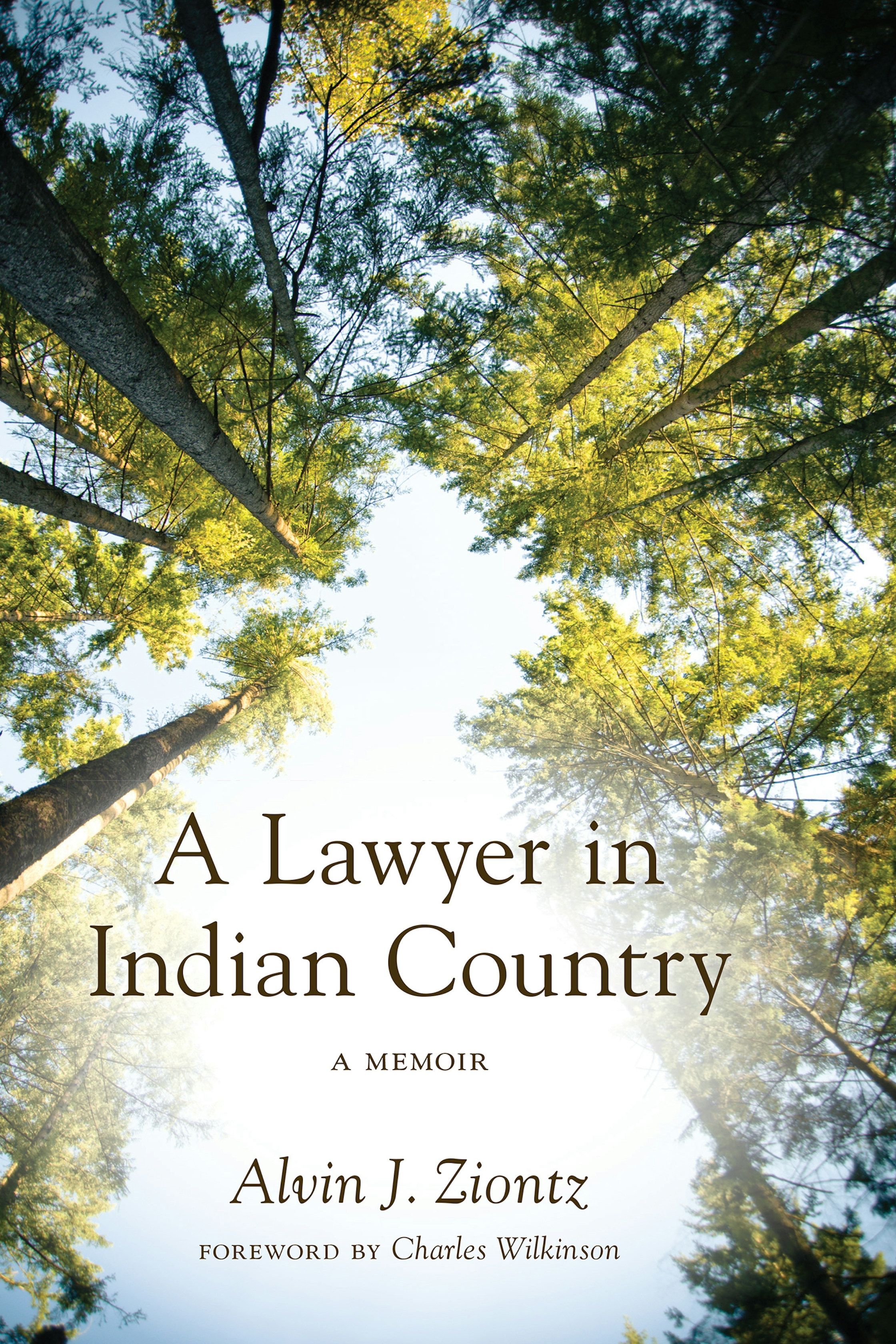 A Lawyer in Indian Country