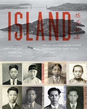 Island book image