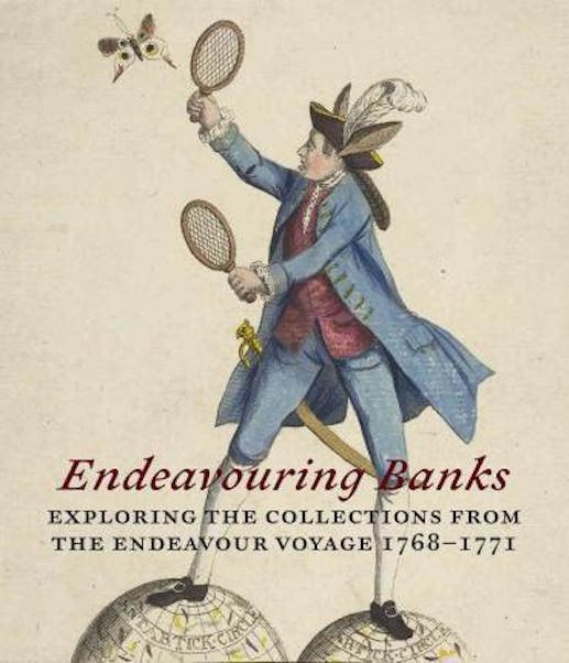 Endeavouring Banks