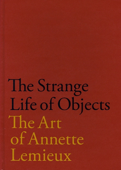 The Strange Life of Objects