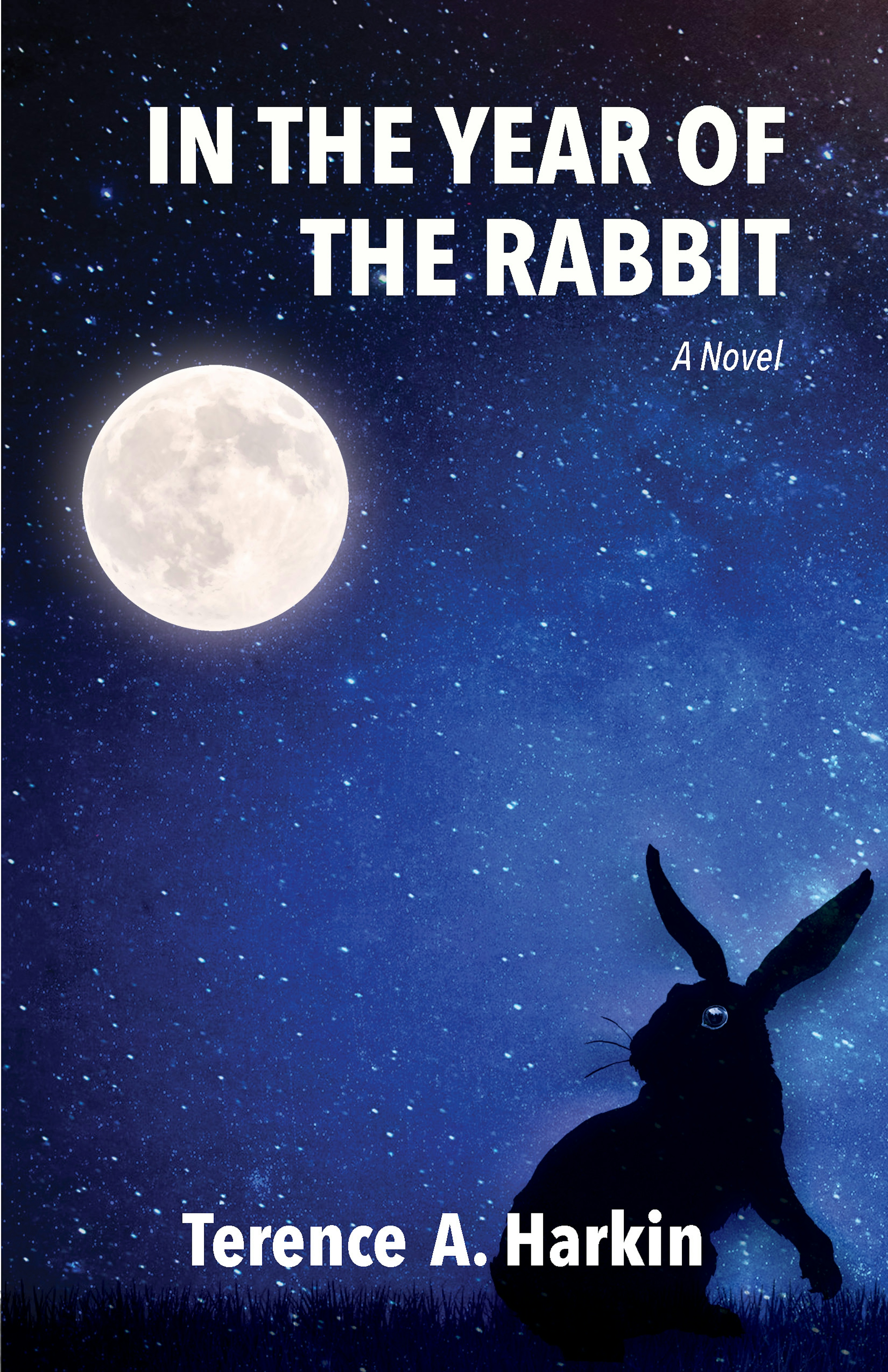 In the Year of the Rabbit